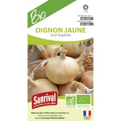 Oignon jaune Stuttgarter