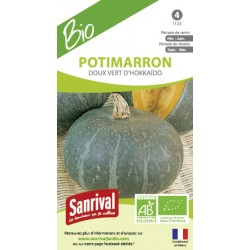 Potimarron doux vert d'Hokka&iuml;do