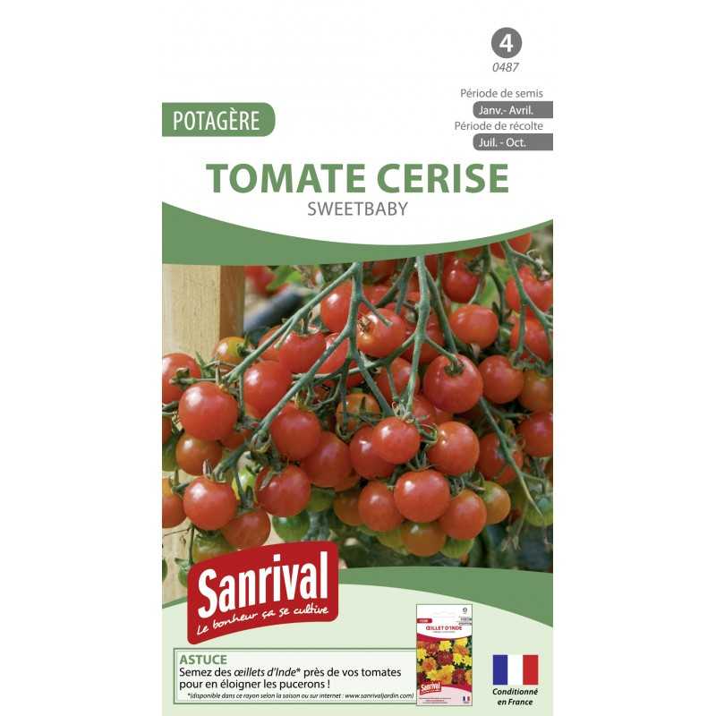 Graines de tomate cerise Sweet Baby Graines de tomate cerise Sweet Baby