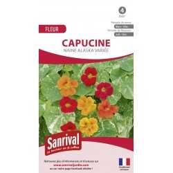 CAPUCINE NAINE ALASKA