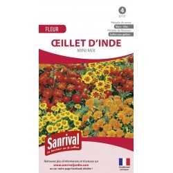 Oeillet d'Inde mini mix