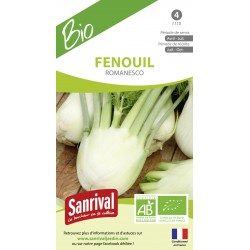 Fenouil Romanesco
