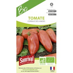 Graines de tomate cornue des Andes bio