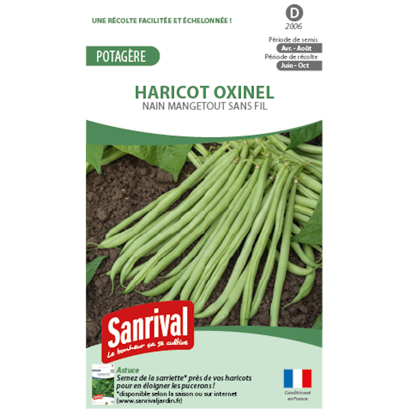 Graines de haricot Oxinel nain mangetout sans fil Graines de haricot Oxinel nain mangetout sans fil