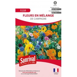 Graines en m&eacute;lange de fleurs de campagne