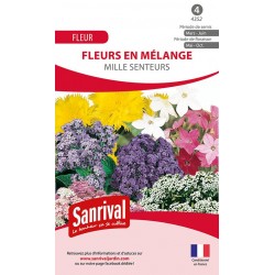 Graines de fleurs en m&eacute;lange Mille Senteurs