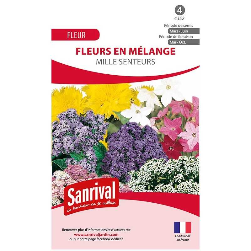 Graines de fleurs en mélange Mille Senteurs Graines de fleurs en mélange Mille Senteurs