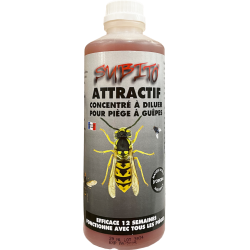 Attractif concentré à...