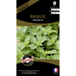 Graines de basilic Massilia