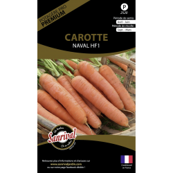 Carotte Naval HF1