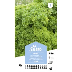 graines de persil fris&eacute;