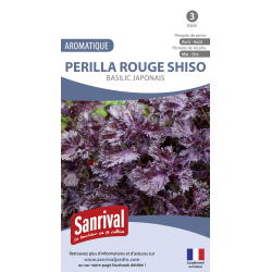 Basilic japonais Perilla rouge shiso