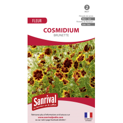 Cosmidium brunette