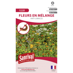 Fleurs en mélange...