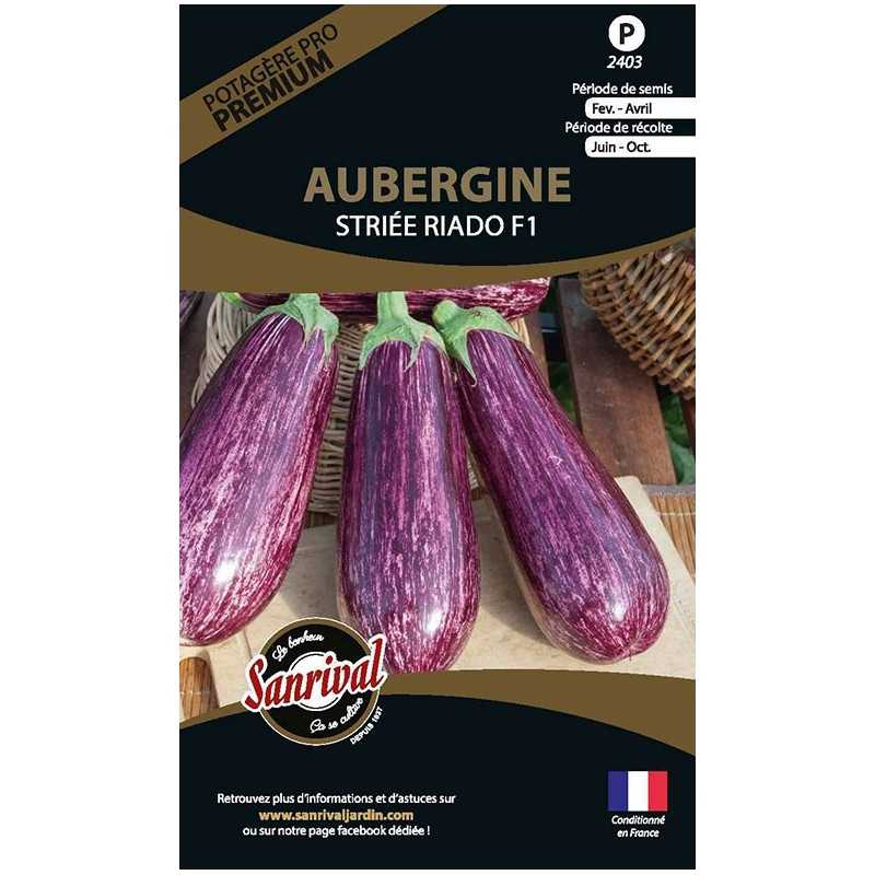 graines d'Aubergine Striée Riado F1 graines d'Aubergine Striée Riado F1