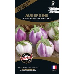 Graine d'Aubergine Rotonda Bianca Sfumata Di Rosa