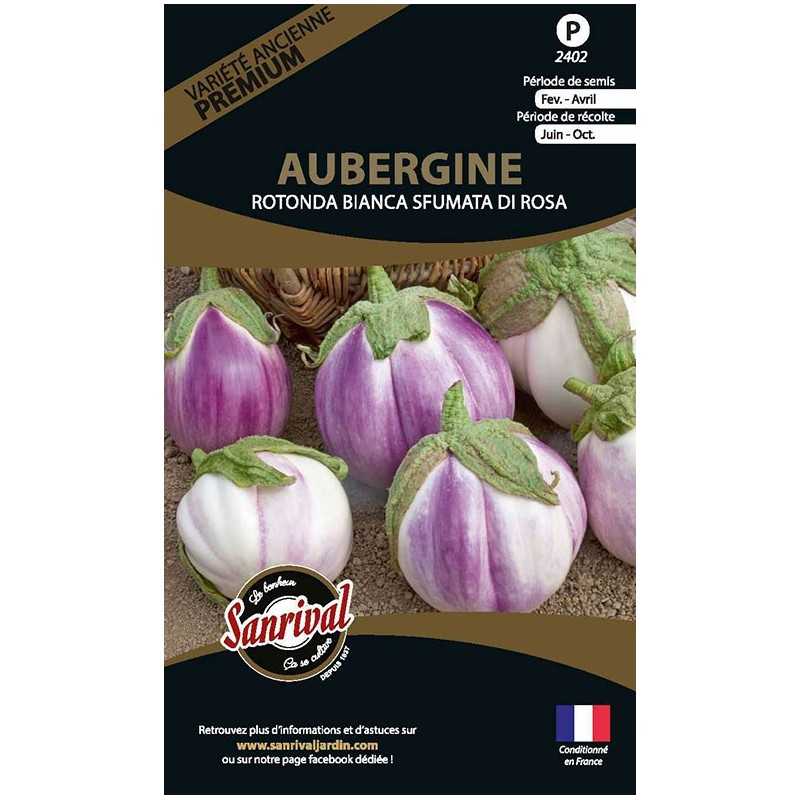 Graine d'Aubergine Rotonda Bianca Sfumata Di Rosa Graine d'Aubergine Rotonda Bianca Sfumata Di Rosa