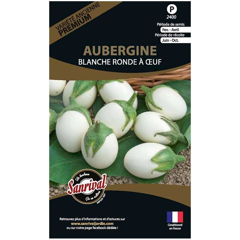 graines d'Aubergine Blanche Ronde à Œuf graines d'Aubergine Blanche Ronde à Œuf