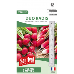 Radis Duo Saxa / Flamboyant - ruban de graines 2 x 2 m