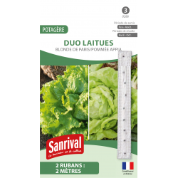 Duo de laitues Blonde de Paris / Pomm&eacute;e Appia &ndash; ruban de graines 2 x 2 m