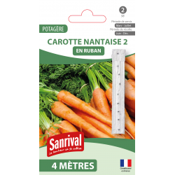 Carotte Nantaise 2 &ndash; ruban de graines 4 m