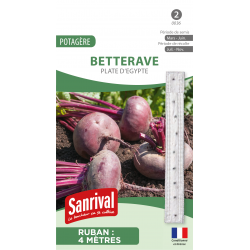 Betterave Plate d&rsquo;&Eacute;gypte &ndash; ruban de graines 4 m