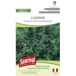 Luzerne Engrais vert Fourrag&egrave;re