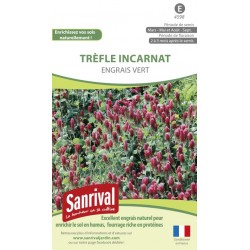 Tr&egrave;fle Incarnat Engrais vert