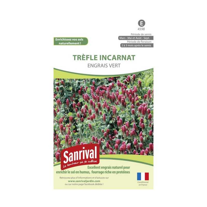 Trèfle Incarnat Engrais vert Trèfle Incarnat Engrais vert