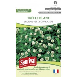 Tr&egrave;fle Blanc Engrais vert Fourrag&egrave;re