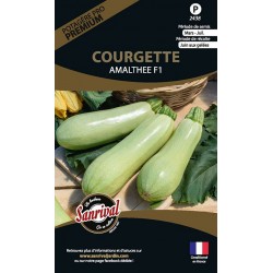 graines de Courgette Amalth&eacute;e F1