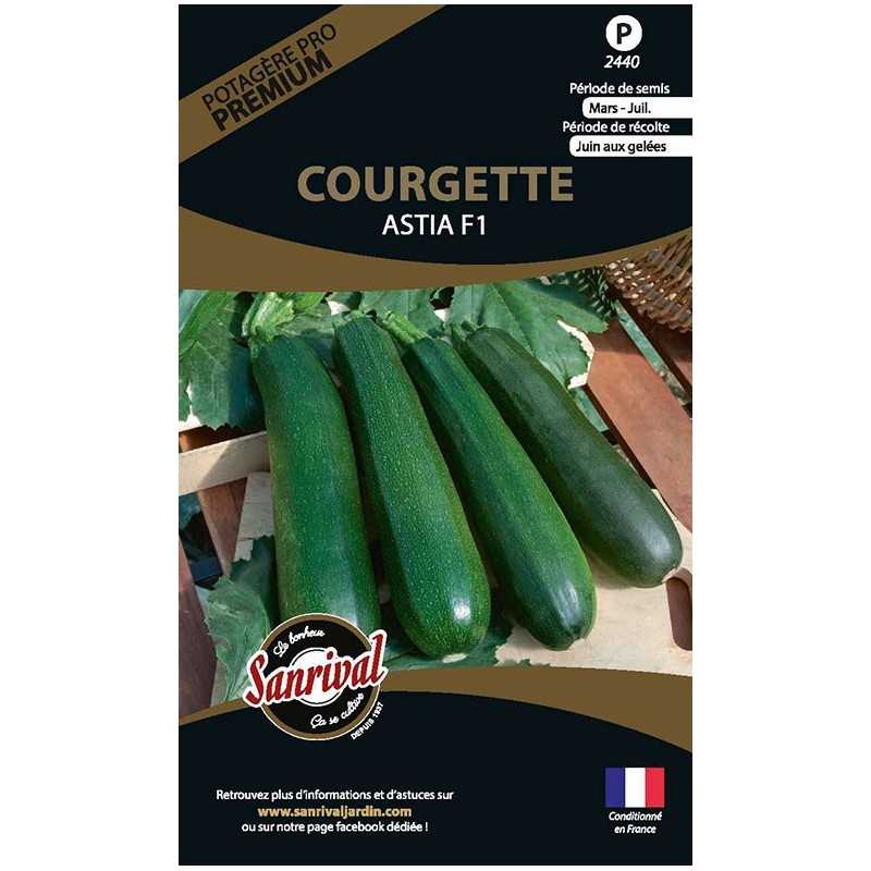 graines de Courgette Astia F1 graines de Courgette Astia F1