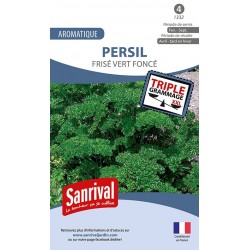 Persil frisé