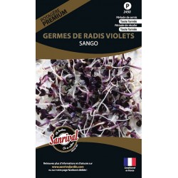 Germes de Radis Violets Sango