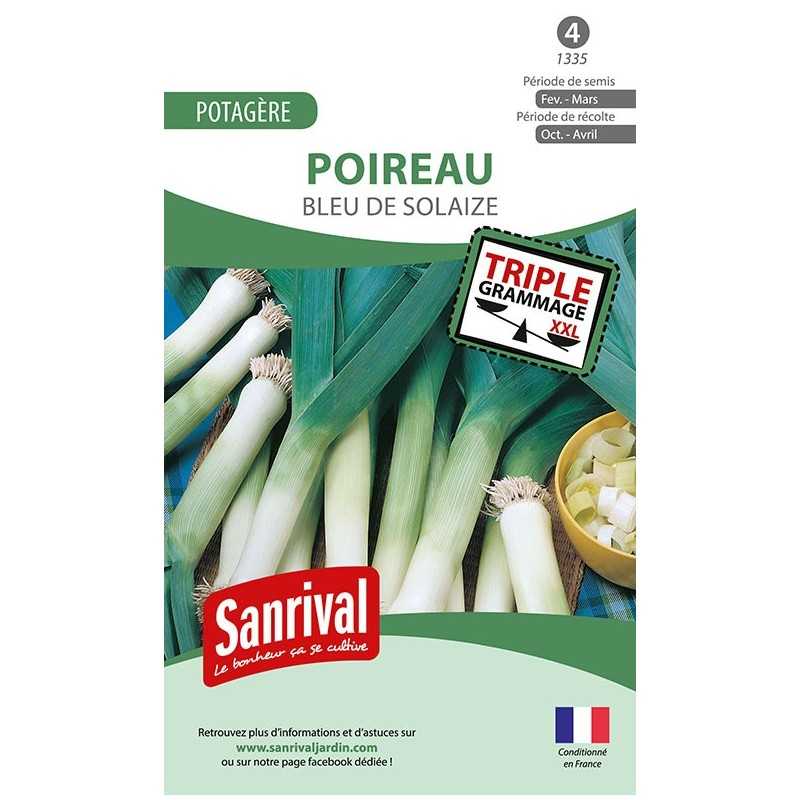 Graines de Poireau Bleu de Solaize Graines de Poireau Bleu de Solaize
