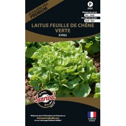 graines de Laitue Feuille de Ch&ecirc;ne Verte Kyrio
