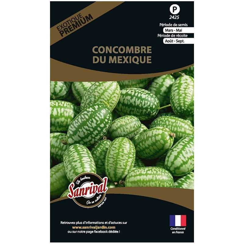 graines de Concombre du Mexique graines de Concombre du Mexique