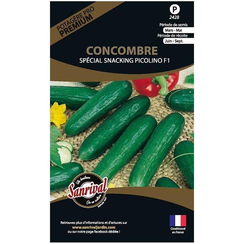 graines de Concombre Spécial Snacking Picolino F1 graines de Concombre Spécial Snacking Picolino F1