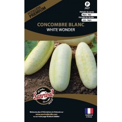 graines de Concombre Blanc White Wonder