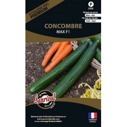 graines de Concombre Max F1