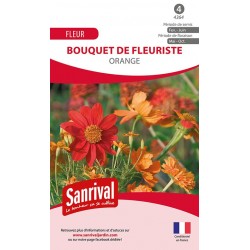 Graines de bouquet de fleuriste orange
