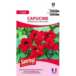 Capucine rouge Impératrice...