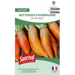 graines de Betterave fourrag&egrave;re de Vauriac
