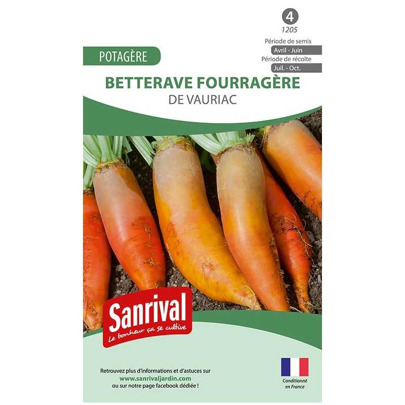 graines de Betterave fourragère de Vauriac