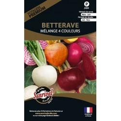 graines de Betterave M&eacute;lange 4 couleurs