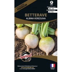 graines de Betterave Albina Vereduna