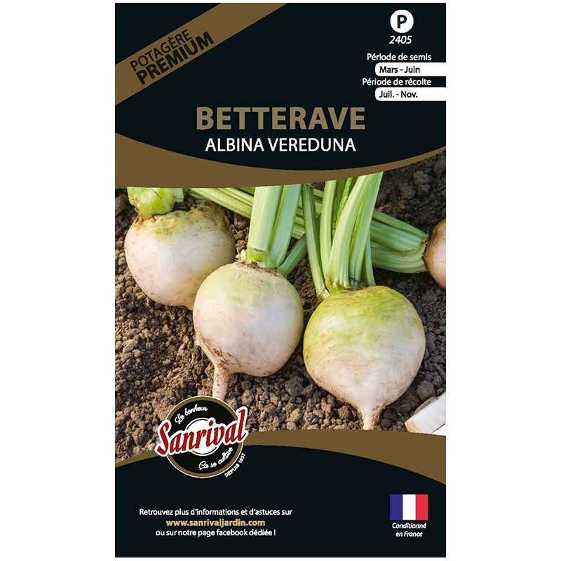 graines de Betterave Albina Vereduna graines de Betterave Albina Vereduna