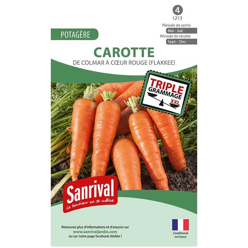 Graines de carottes de Colmar à cœur rouge (Flakkee) Graines de carottes de Colmar à cœur rouge (Flakkee)