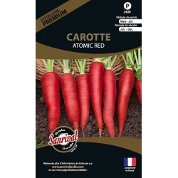 graines de Carotte Atomic Red