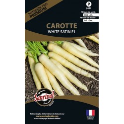 graines de Carotte White Satin
